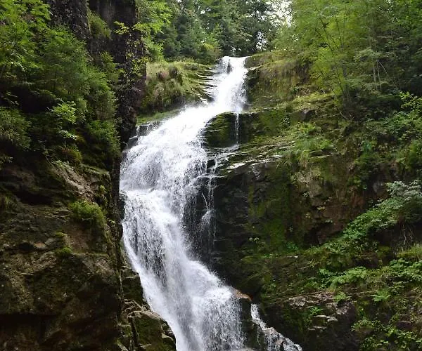 Dom Sw. Stefana * Jelenia Góra